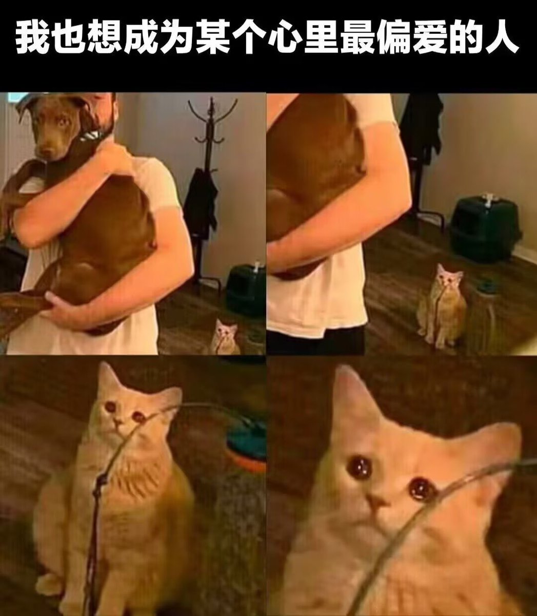 y (@xiaoxiaogou0125) on Twitter photo 