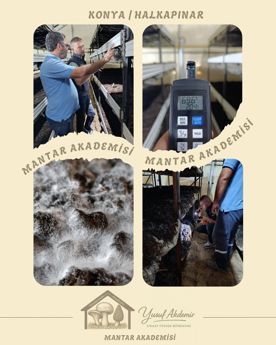 🍄Çalışmalarımız Devam Ediyor.🍄

📍#halkapınar

Kültür Mantarı

MAŞALLAH 👏👏👏

Tüm Üreticilerimize Hayırlı Helal Bol Kazançlar Dilerim.

#mantar #mushroom #tarımşehri #tarım #konya