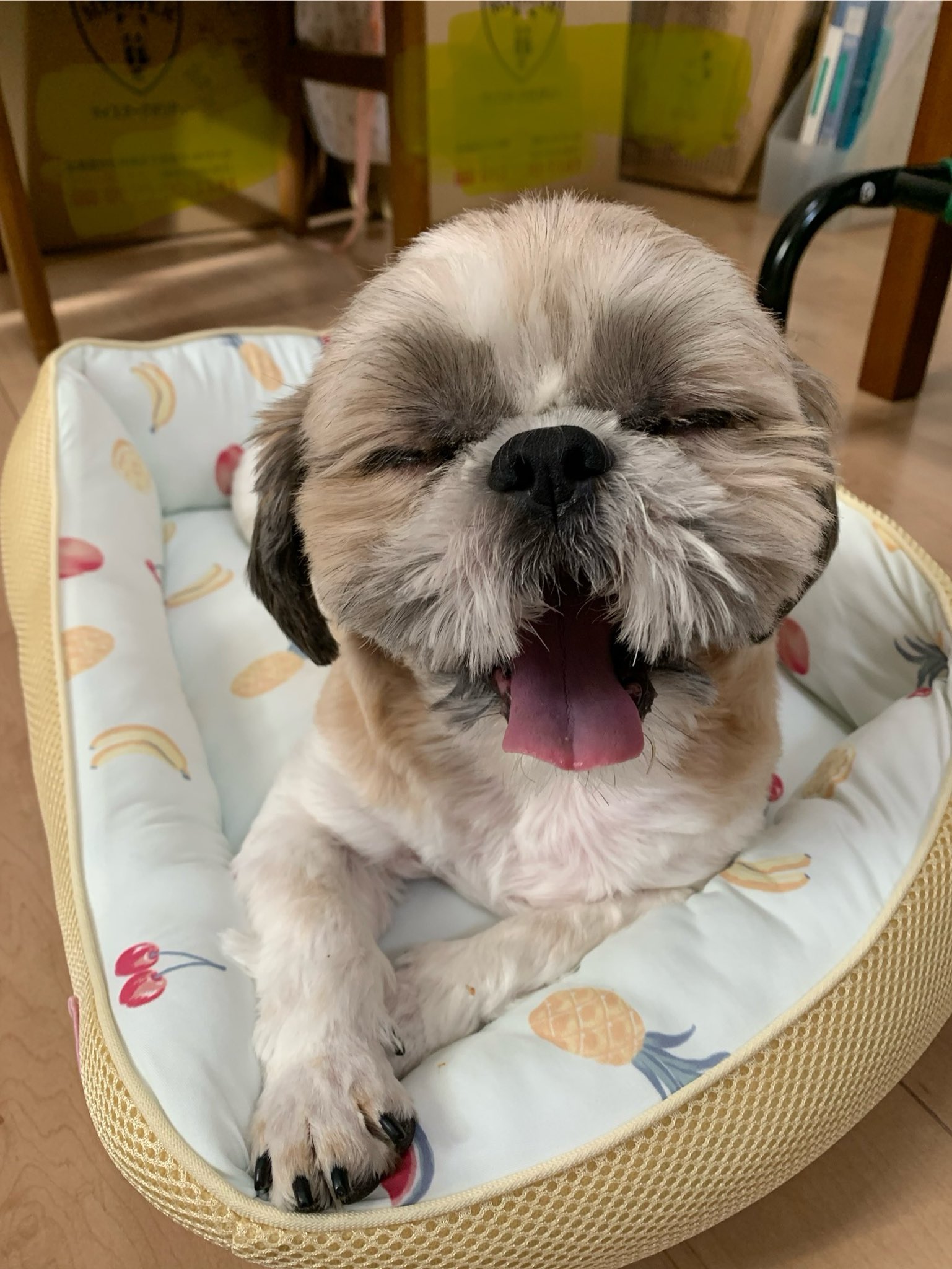 るんるん (@uEkUbof0KAaQukX) / X