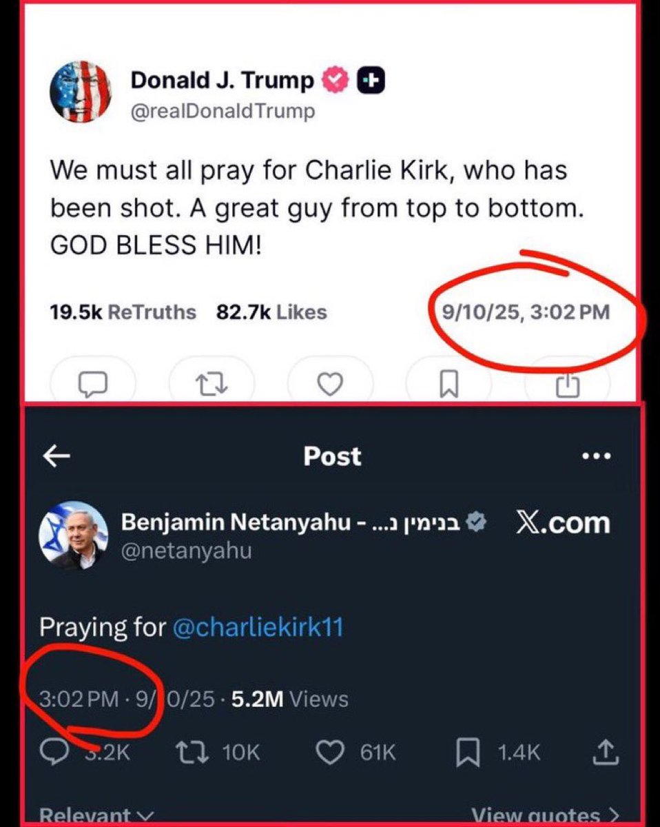 What the actual fuck is this