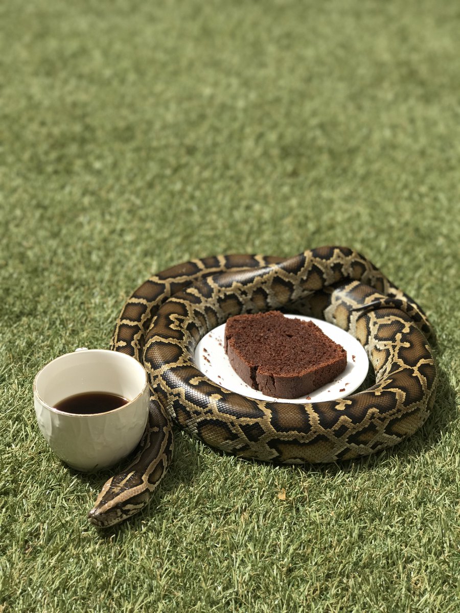 قهوه الخميس