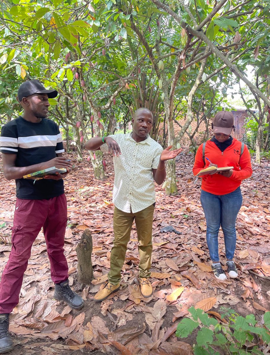 JamesThembo_'s tweet image. Spent the day in #Bundibugyo conducting a #Cocoa benchmarking 😂
Meeting with #specialist farmers, #Exporters and #chocolate companies to understand their standards and expectations from farmers. 
I see our farmers benefiting from these engagements VERY SOON! 👌