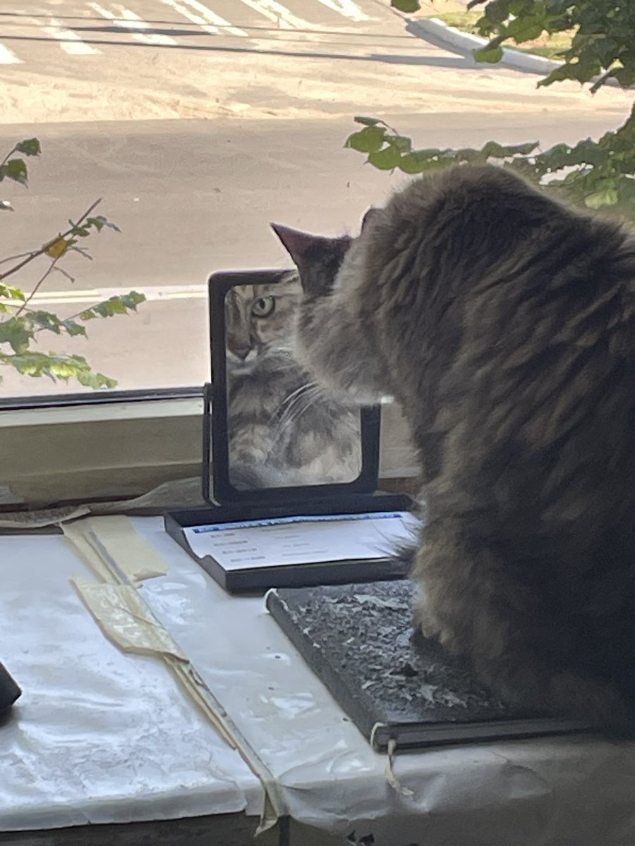 Ты у меня щас доморгаешься🙄