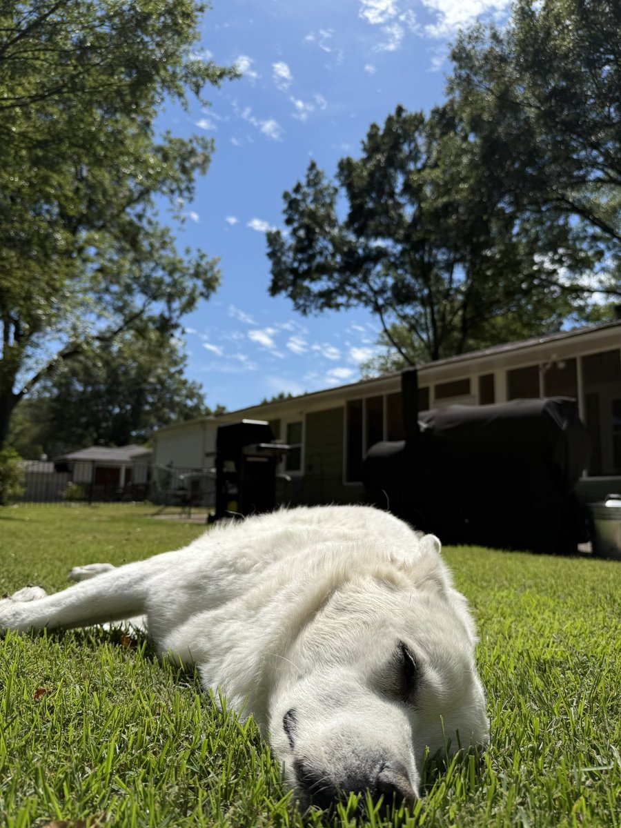 ruhroh88's tweet photo. My old man solar charging https://t.co/IgKEUfb8hZ