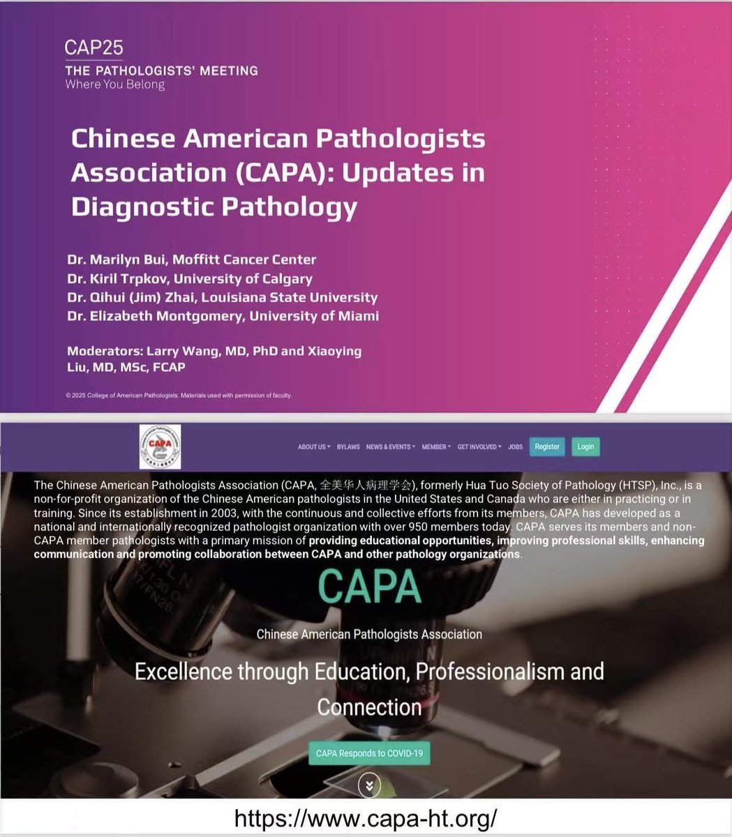 CAPA_comm's tweet image. The CAPA–CAP Companion Session at #CAP25 lands Sat 9/13, 2-4 PM ET. Catch cutting-edge perspectives in diagnostic pathology from Drs Marilyn Bui, Kiril Trpkov, Qihui (Jim) Zhai &amp;amp; Elizabeth Montgomery! Moderators: Drs Larry Wang &amp;amp; Xiaoying Liu. More CAPA info below. #PathTwitter