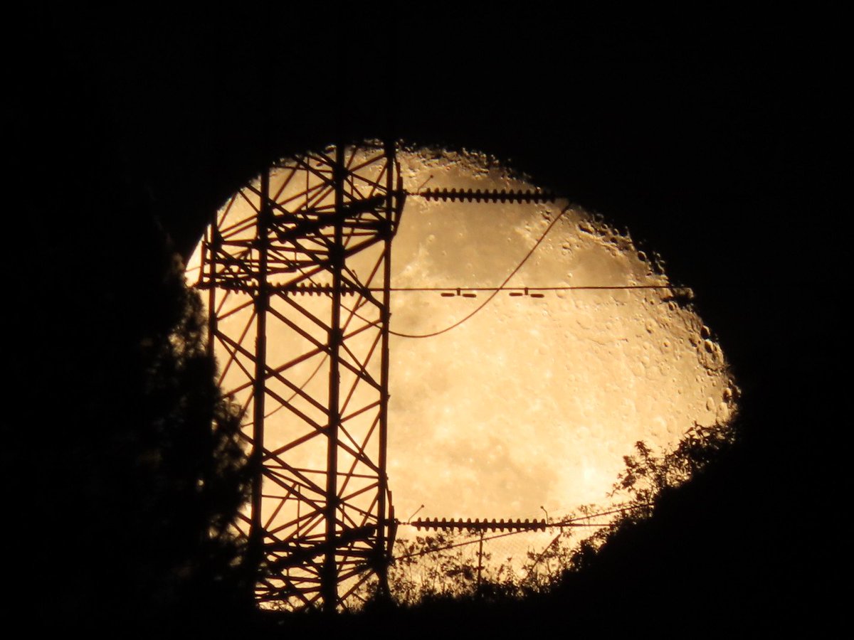 Isidro Nando Pestana tweet media