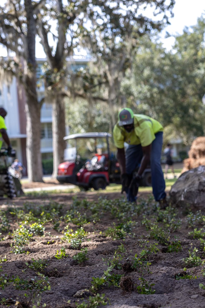 UF Facilities Services tweet media