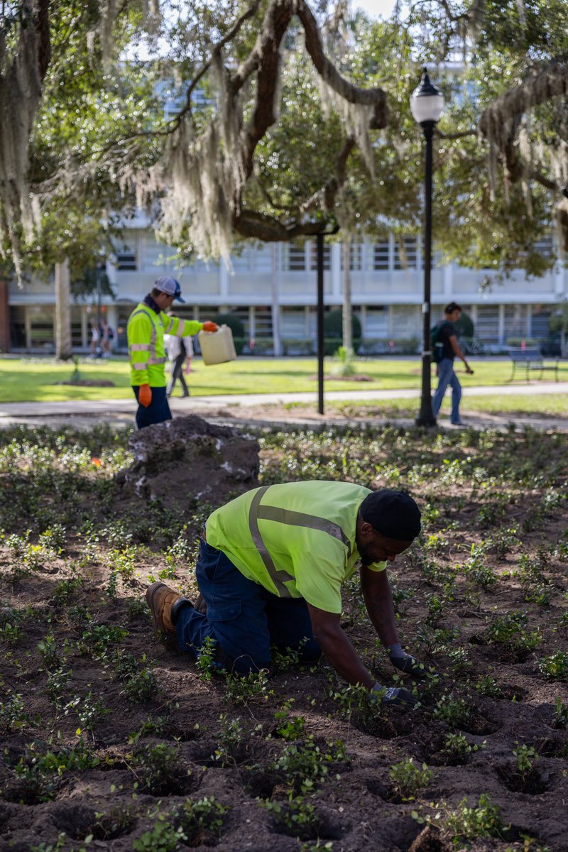 UF Facilities Services tweet media