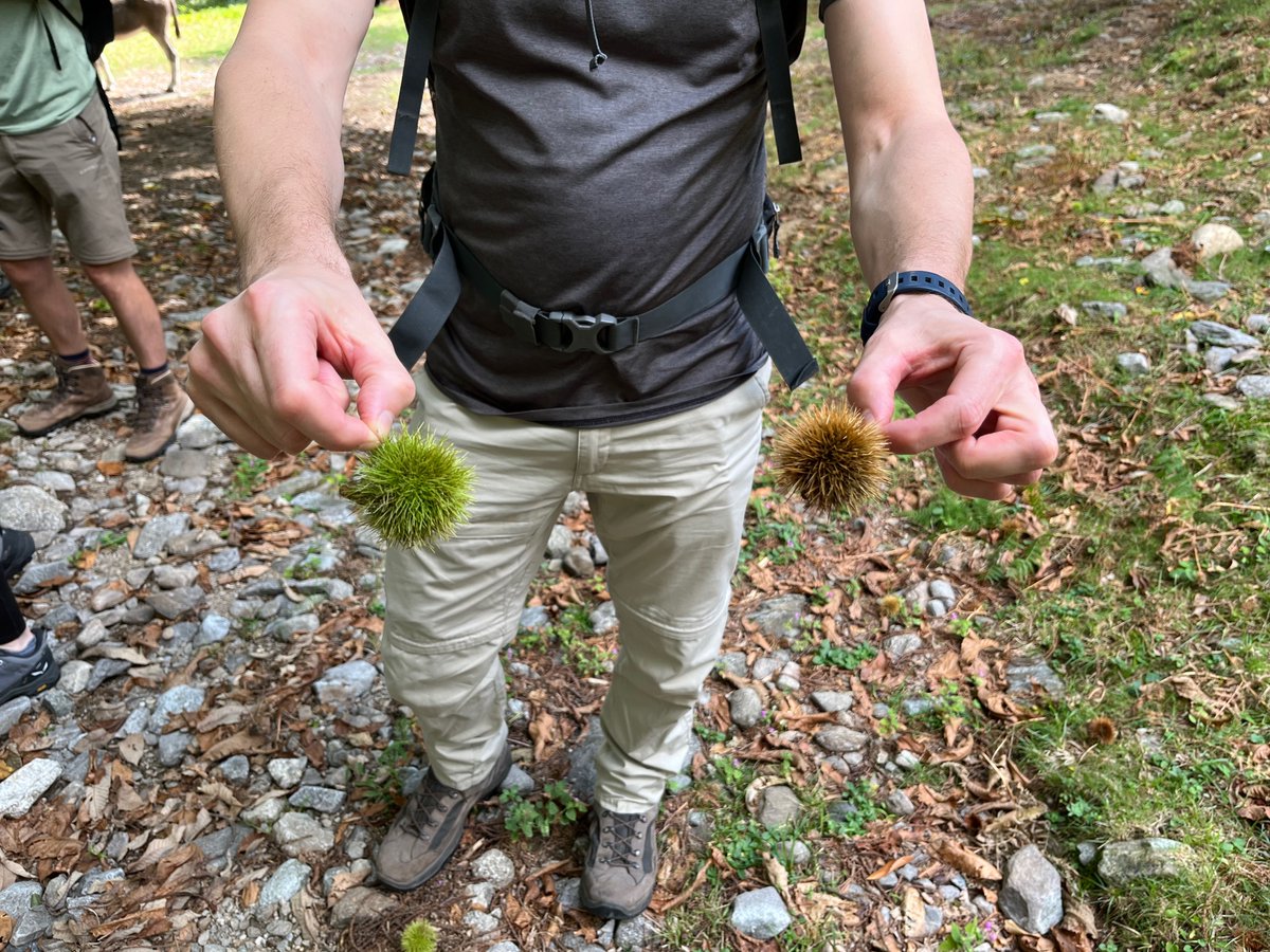 Nicola Spaldin tweet media