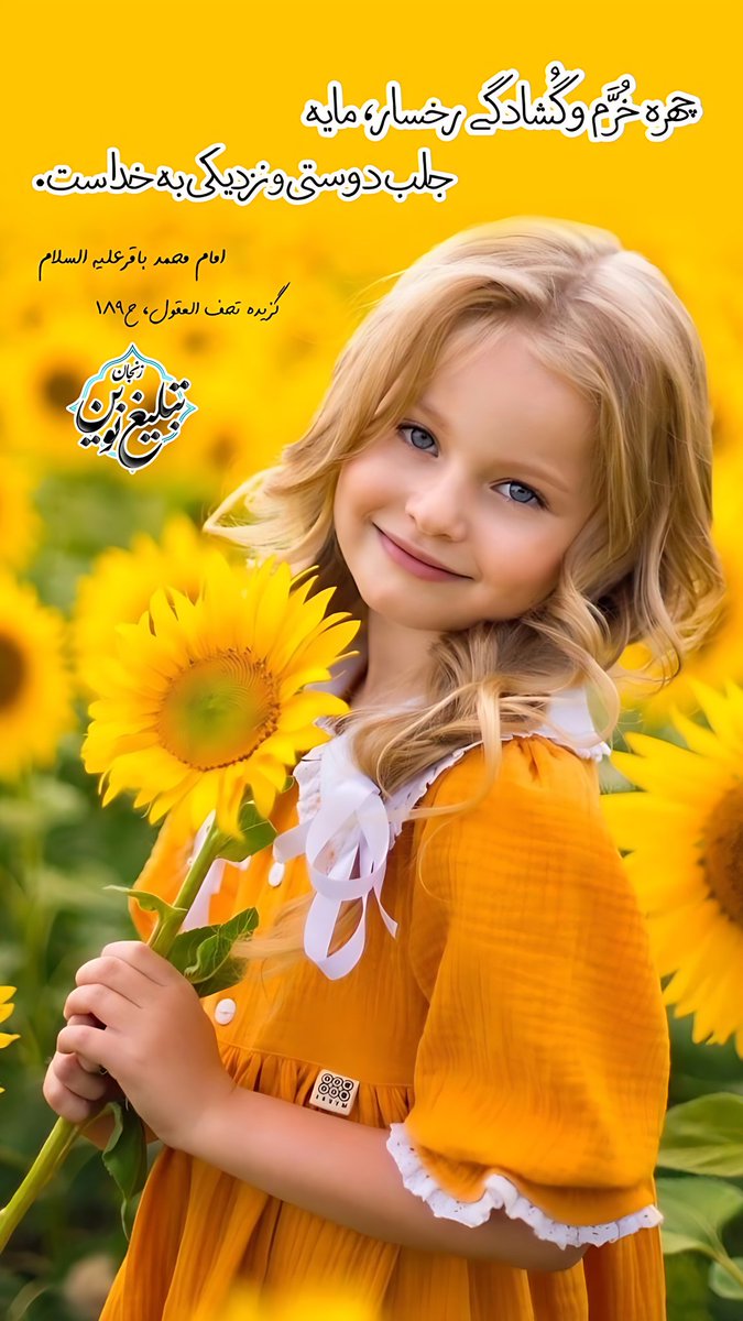 #حدیث_گراف
#فالوبک_فوری