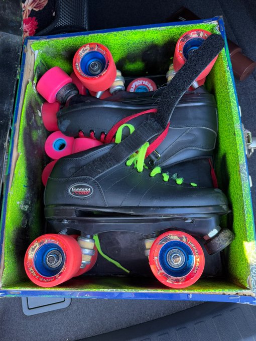 Patins da Hayley