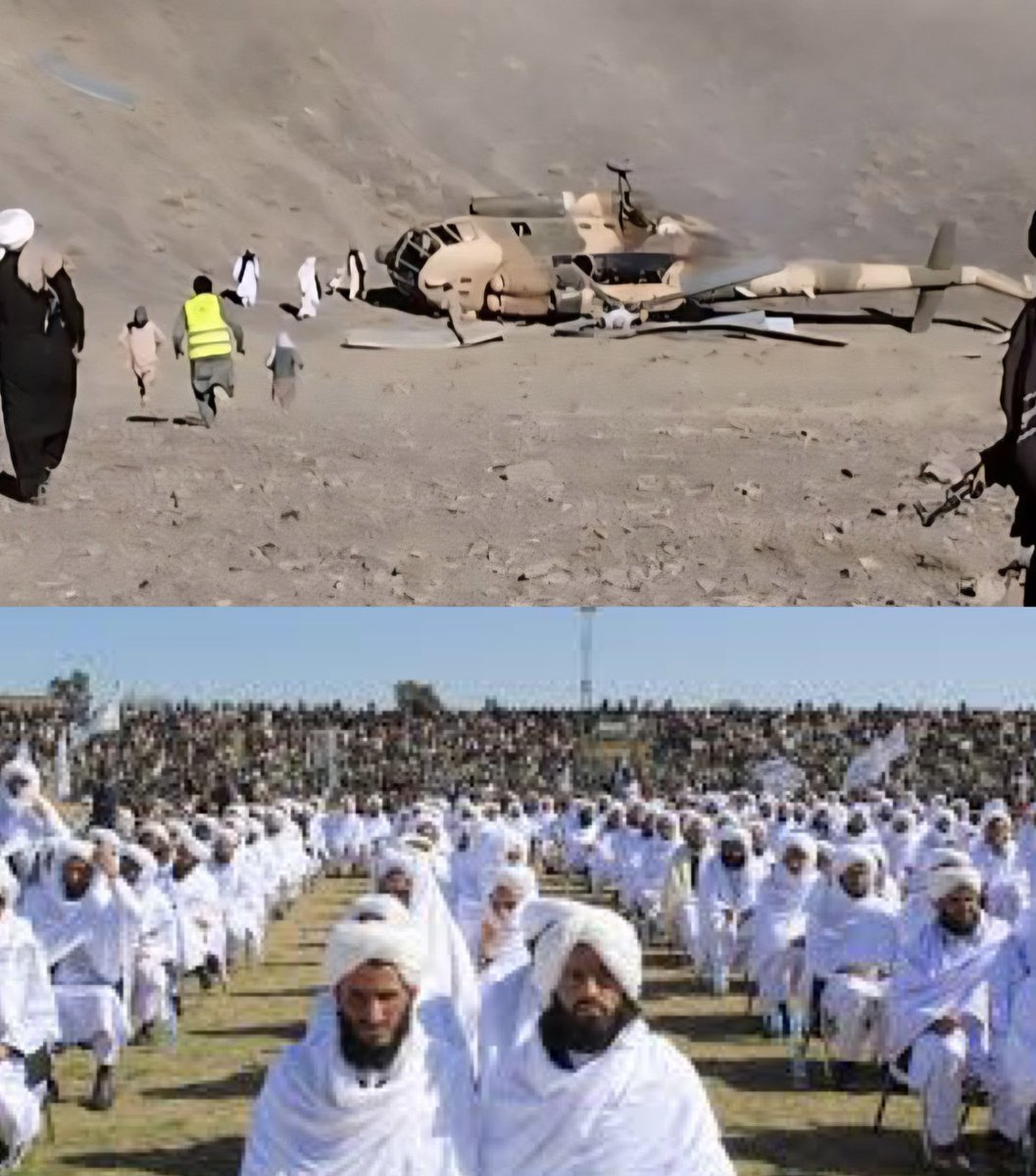 Dandoraډنډوره tweet media