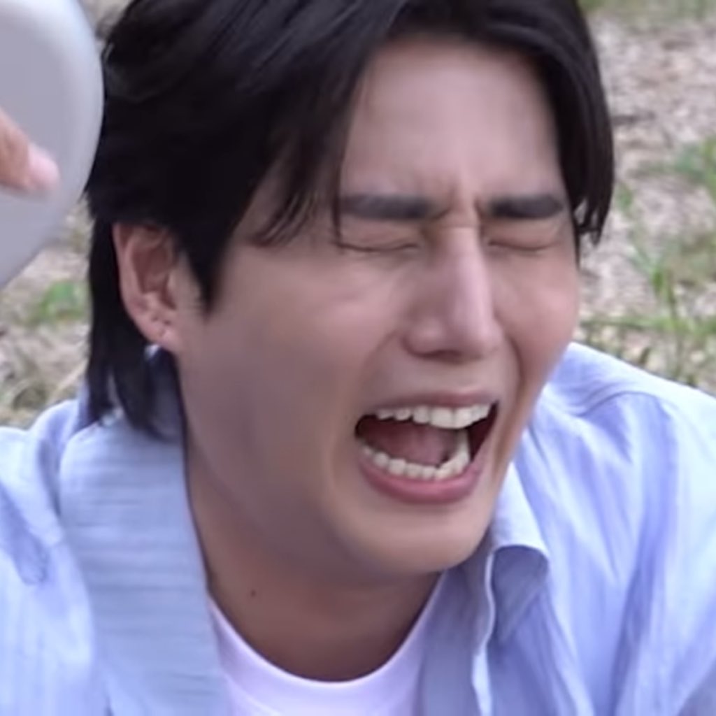 고양이 삐롱이 tweet media