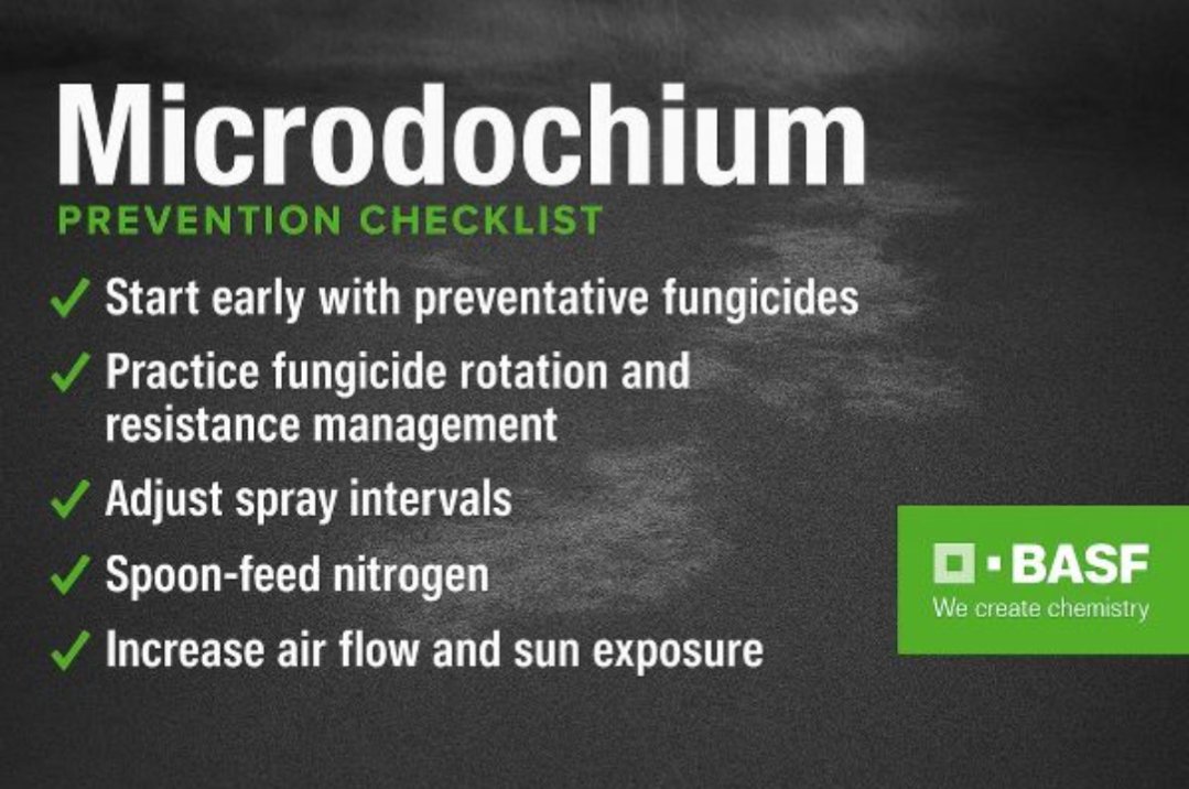 Fall prep = Spring success 🌱 BASF fungicides tackle microdochium, pink &amp; grey snow mold so your turf wakes up strong in 2026. 💪 Contact your BASF Turf Rep!