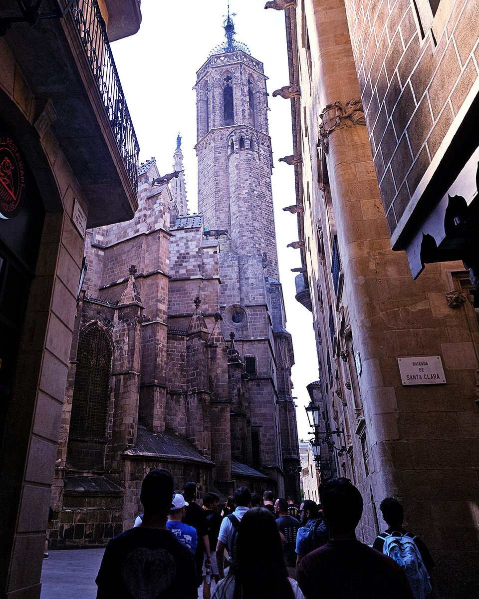 💪 Pronti per un nuovo anno con BitPolito?

Con queste foto pazzesche scattate a <a href="/bcc8333/">BCC 8333</a> Barcellona in occasione della Barcelona Cypher Conference, chiudiamo ufficialmente la pausa estiva. 

Siamo carichi e la lista dei nuovi programmi è già lunga — stay tuned!