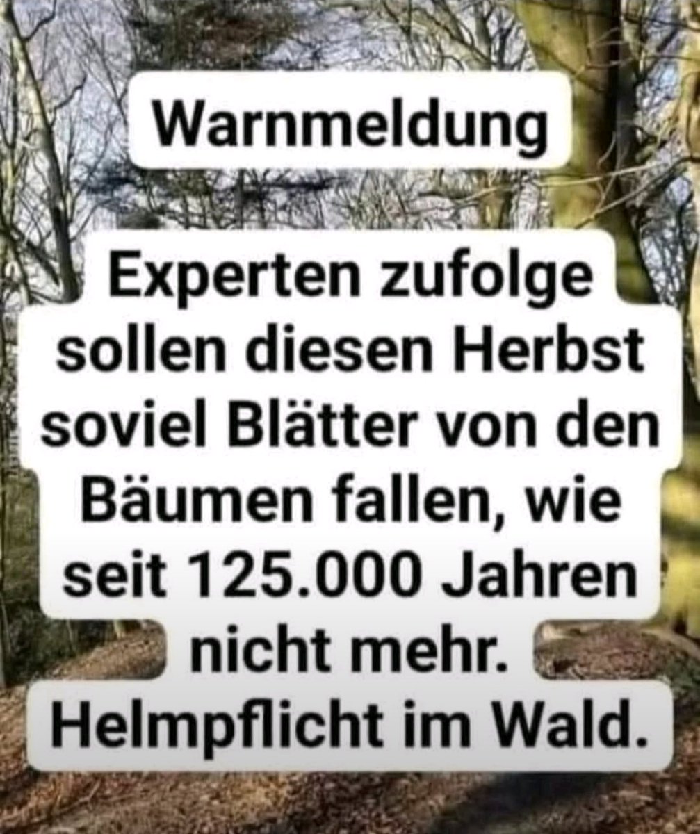 Bully 🇩🇪 (@alpenmaster) on Twitter photo 