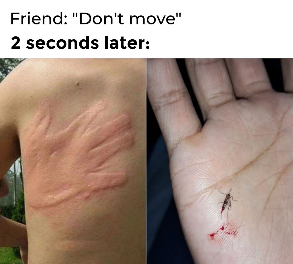 😂😂😲😲

#CharlieKirkshot #zonauang #bb27 #CharlieKirkdead #lacasadealofoke #しあわせな結婚 #RalphLaurenSP26 #素のまんま