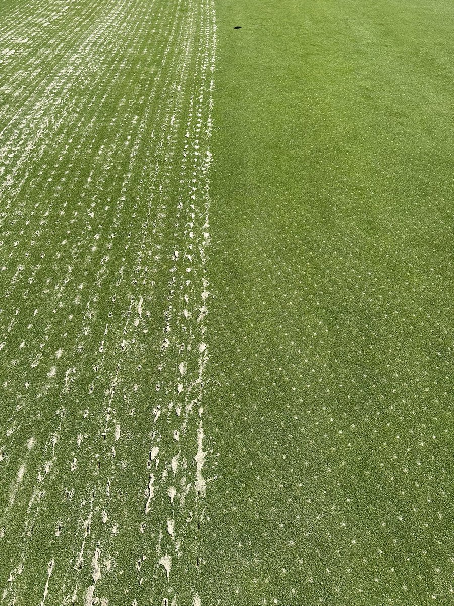 Colonial Turf tweet media