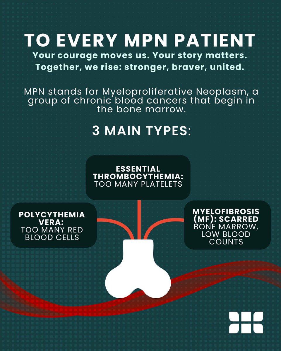 HealthTree's tweet photo. 🩸 Today is MPN Awareness Day.
MPNs (like Myelofibrosis, PV, and ET) are rare blood cancers that start in the bone marrow.
✨ Knowledge empowers
✨ Community supports
✨ Research drives cures
You’re not alone. Learn more at: https://t.co/95qLvj1eDc
#MPNAwareness #BloodCancerAwarenessMonth #TogetherWeCareTogetherWeCure #HealthTree