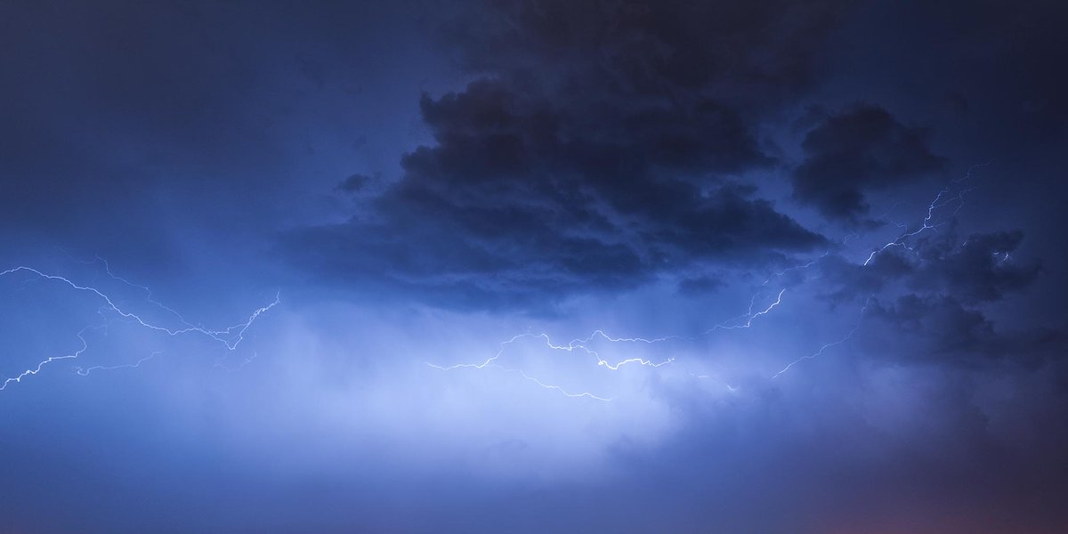 The Aquilonian ⚡ tweet media