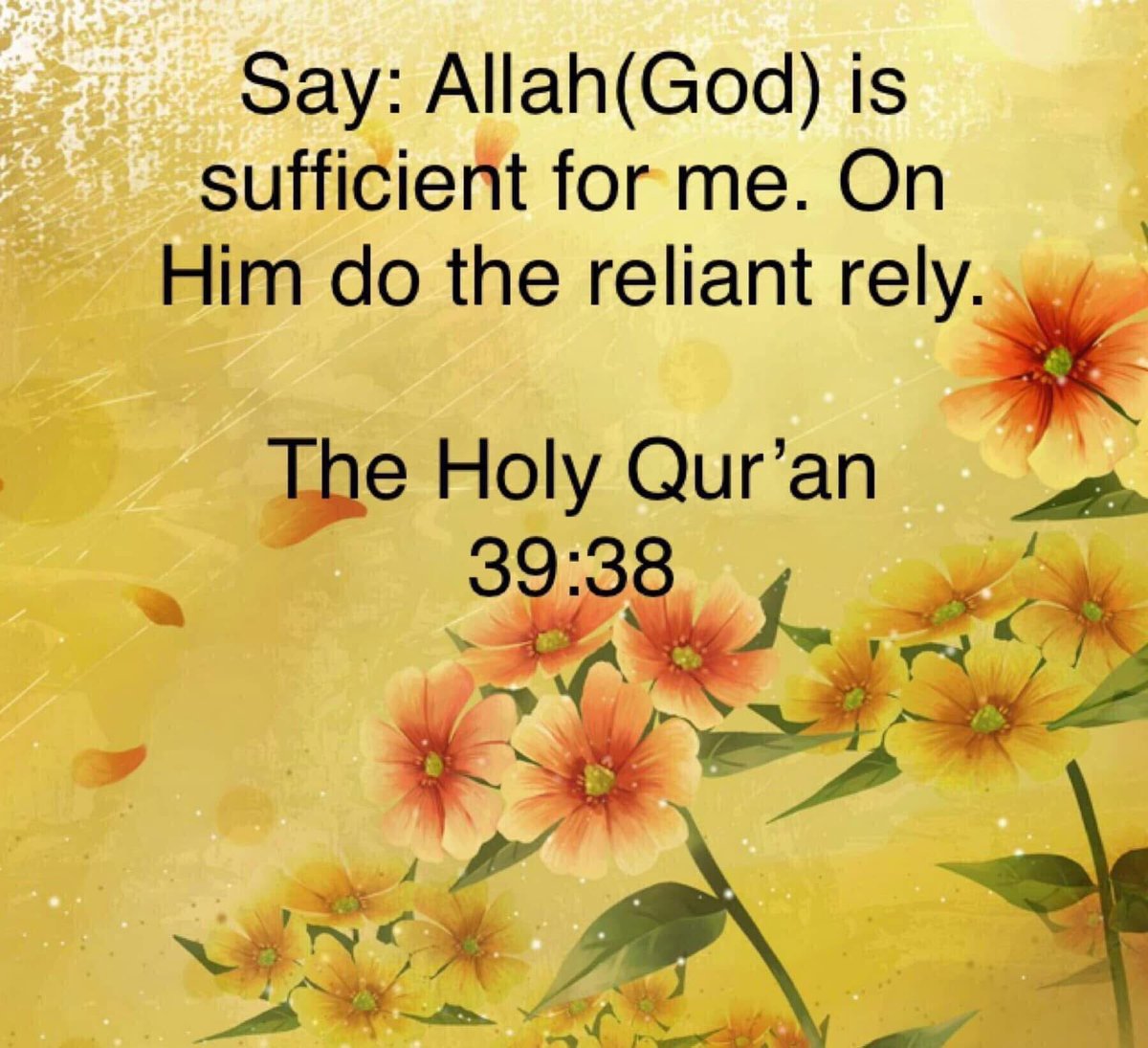 Nadine Muhammad (@nadinemuhammad) on Twitter photo 