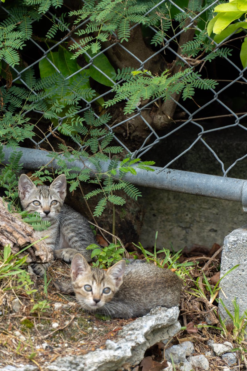 hitand/ひたんど (@claritywomos95) on Twitter photo 