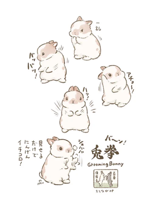 兎拳 〜うさちゃんのカンフー〜 