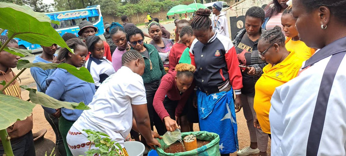AWAK - Association of Women in Agriculture Kenya tweet media