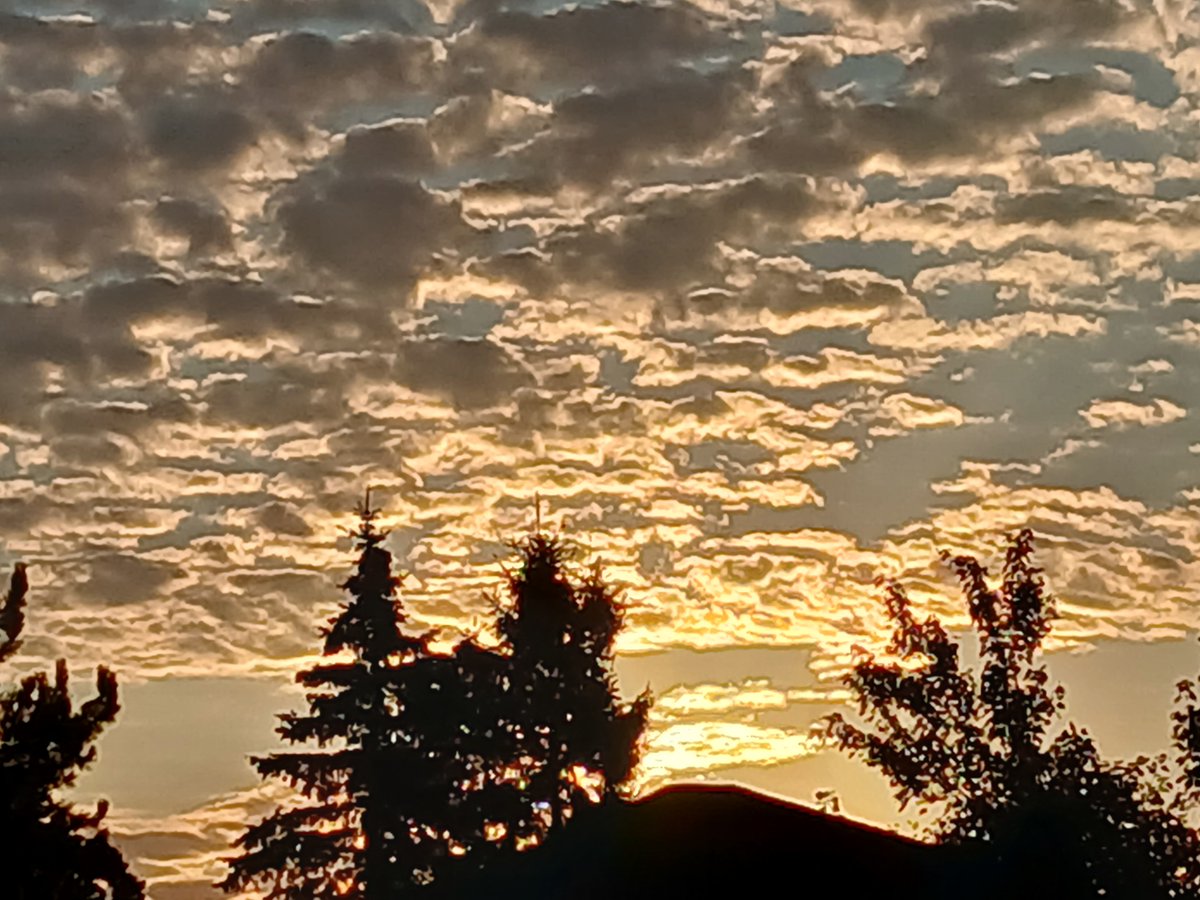 It's a beautiful morning