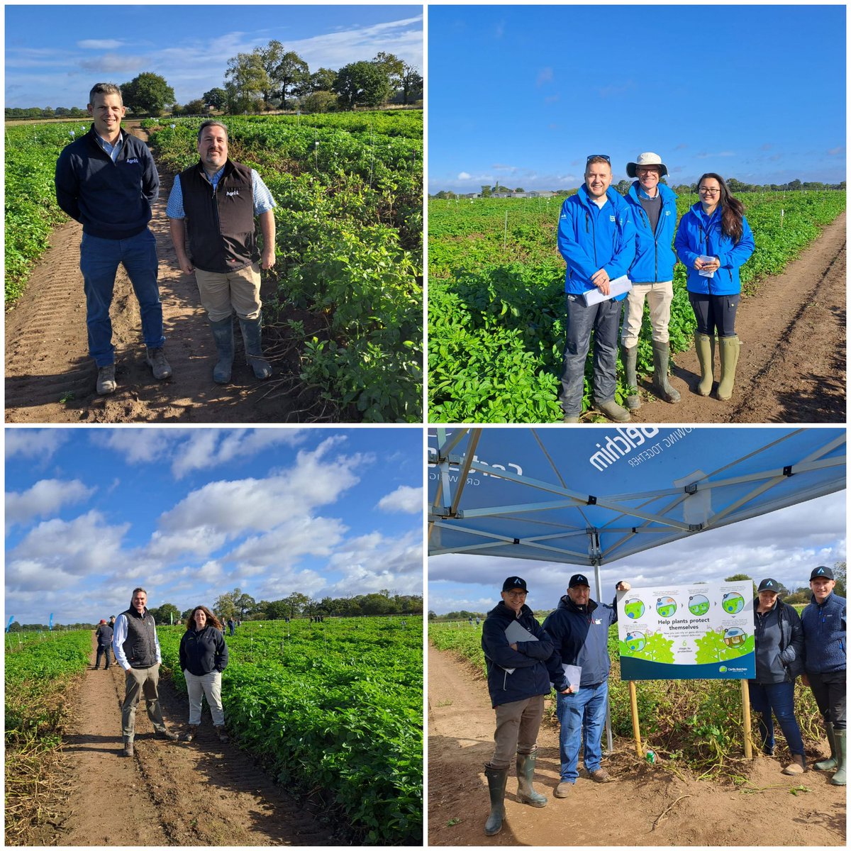 Megan Edmonds tweet media