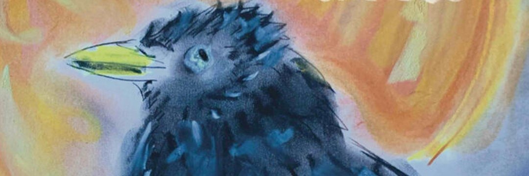 ANMLY :: Anomaly :: Anomalous Press tweet media