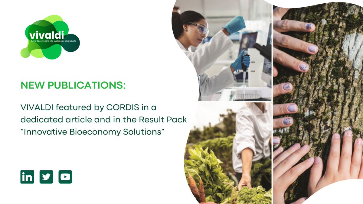 VIVALDI H2020 project tweet media