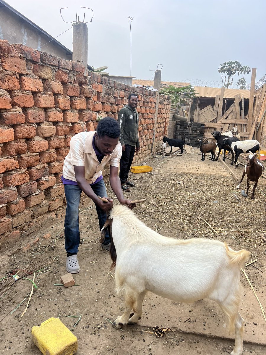 Mwana Bilanga MB (@willemifungaif) on Twitter photo <a href="/luca_varan/">varan🐊 2.0 🇨🇮⭐️⭐️⭐️🙏</a> Ils finiront par comprendre <a href="/luca_varan/">varan🐊 2.0 🇨🇮⭐️⭐️⭐️🙏</a> , merci bcp pour votre X <a href="/luca_varan/">varan🐊 2.0 🇨🇮⭐️⭐️⭐️🙏</a> Ils finiront par comprendre <a href="/luca_varan/">varan🐊 2.0 🇨🇮⭐️⭐️⭐️🙏</a> , merci bcp pour votre X