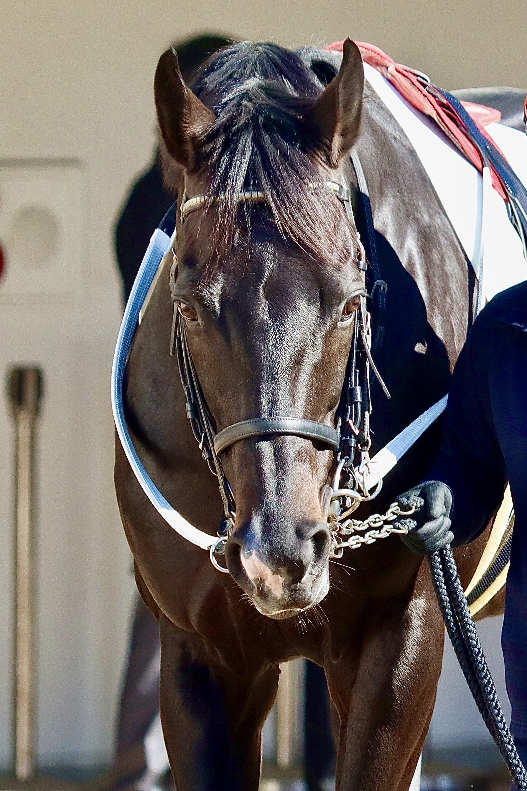 モタライダー (@wSnwTbnSC2qm8BZ) / X