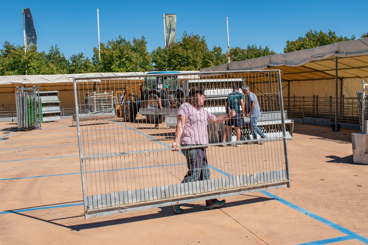 🐑🌾 Fira de #Morella 2025

🐮🐷 L'Associació Firal els Ports munta tot el necessari per a albergar el ramat a l'Espai Firal durant tot el cap de setmana