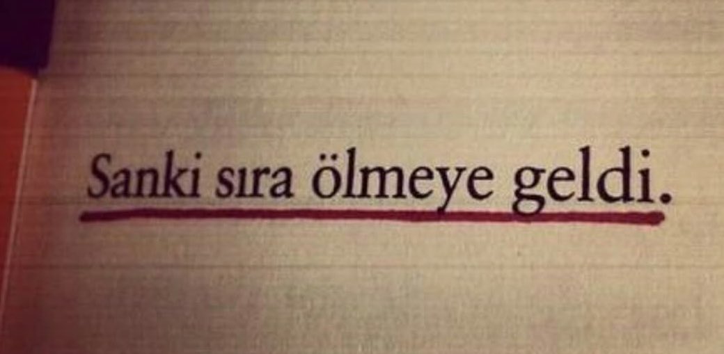 Sude Mete (@almira33936145) on Twitter photo 