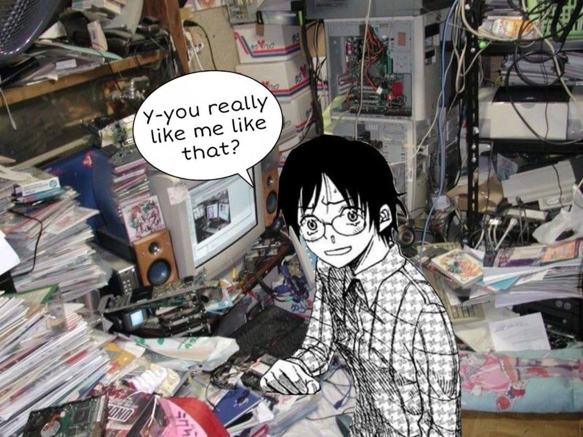 hikikomori ひきこもり (@hiki_solana) on Twitter photo 