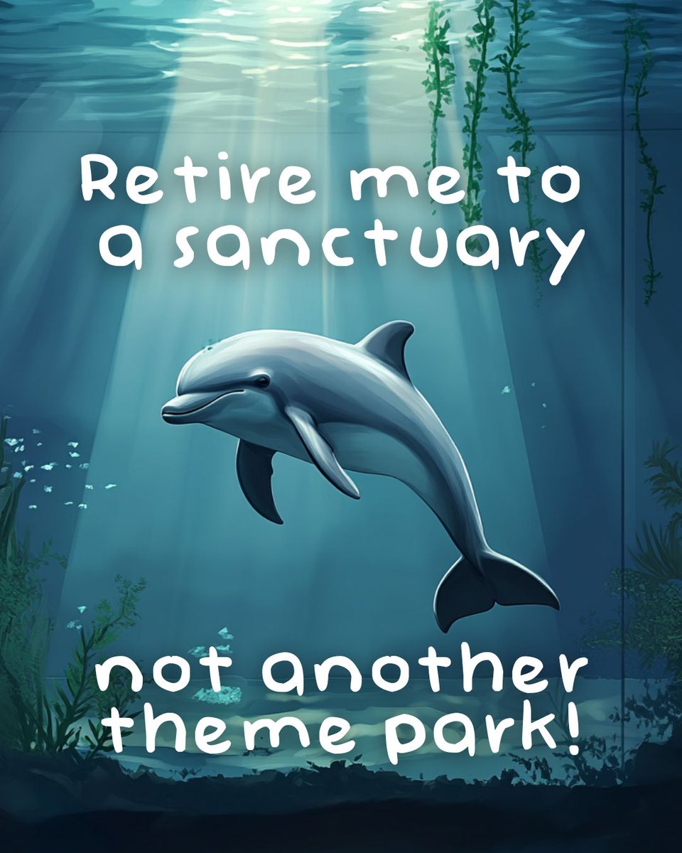 kirkrhoads's tweet image. #SetThemFree