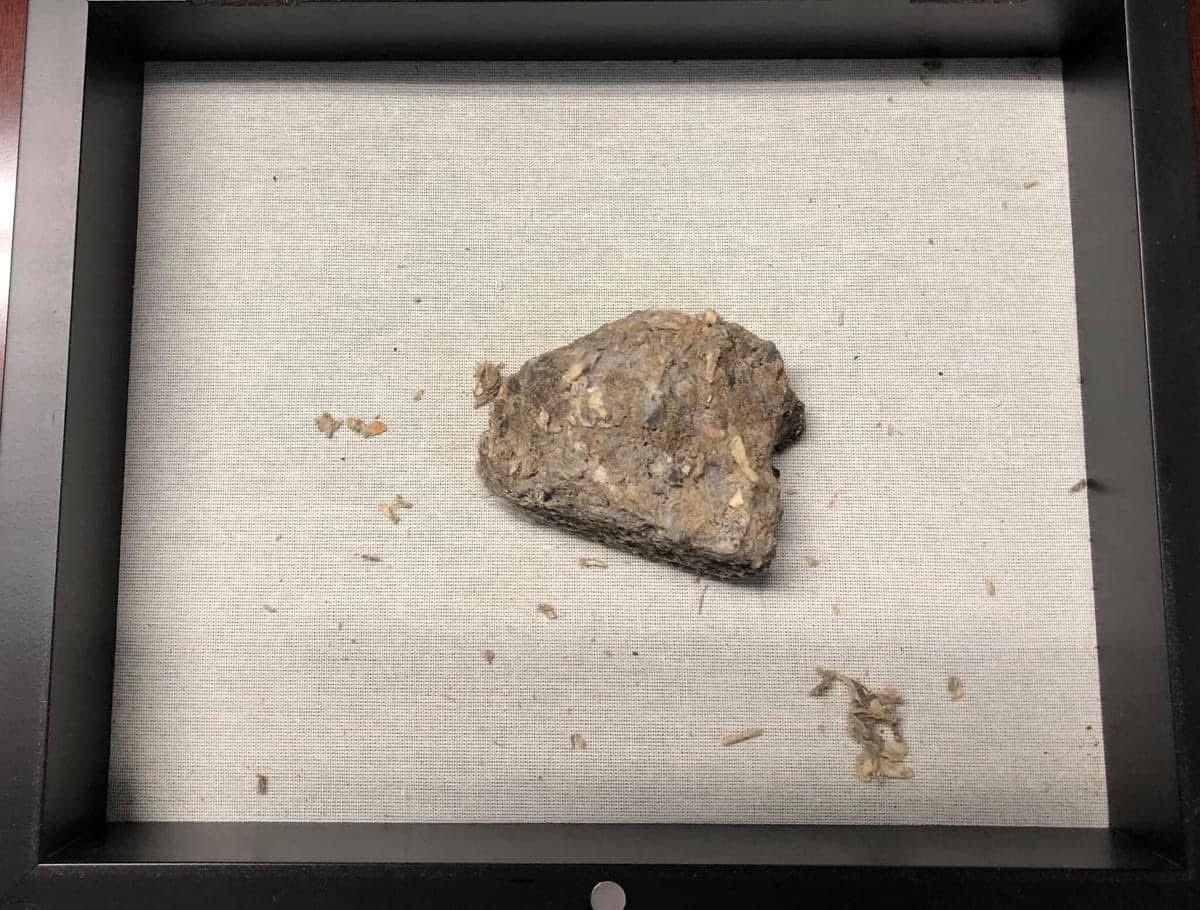 Corey_Thompson's tweet photo. To most, it may look like an old rock...

But it’s not. 

In fact, it’s so much more...It’s a very special, and a timeless memorial.

It sits in a glass-top display case, on a shelf, under a neatly folded (but now heavily faded) American flag.

Strange, but time seems to move so much faster ever since that day. 

Maybe it’s just me.

Maybe I’m just getting older. Yet, that day is the one day (during my lifetime) that stands out when I remember everything changing...forever...

This rarely sees the light of day. Yet, when it does, it serves as a permanent reminder, and as a small, hallowed memorial to those who were lost that day...and to all who were lost serving in the days that followed...

Not as many people seem to care as much these days about this small piece of history...but to me, and to those who do, it will always represent the day that time seemed to stand still...forever...

#NeverForget 🇺🇸

Each and every day that I am blessed to wake up, I am so proud to be an American.

But it is on this day each year that my American pride runs just a little bit stronger than on every other day. We made a promise "Never To Forget," and we all have an obligation to do just that.

Left, Right, Red, Blue, Elephants, Donkeys, R's, D's, and everything in between...at the end of the day, it really doesn't matter...so long as we all know and understand that when we face adversity as a nation, we remember why our Founding Fathers intentionally decided to include the word "UNITED" in our name.

It's so important that we remember that.

And, as we look back, may we also remember that American spirit that made this great nation what it is today, and what gives us the assurance that our best days are still to come.

U.S.A. 🇺🇸