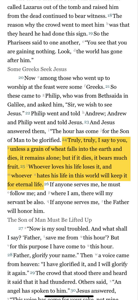 Puritan2000's tweet photo. In light of the horrible news’s yesterday, I keep thinking of these verses from John 12 that I taught on over the weekend when doing a Bible study on Roman six . 

In God’s sovereignty, much fruit can come out of the human tragedy . https://t.co/hSu2Un5OoZ