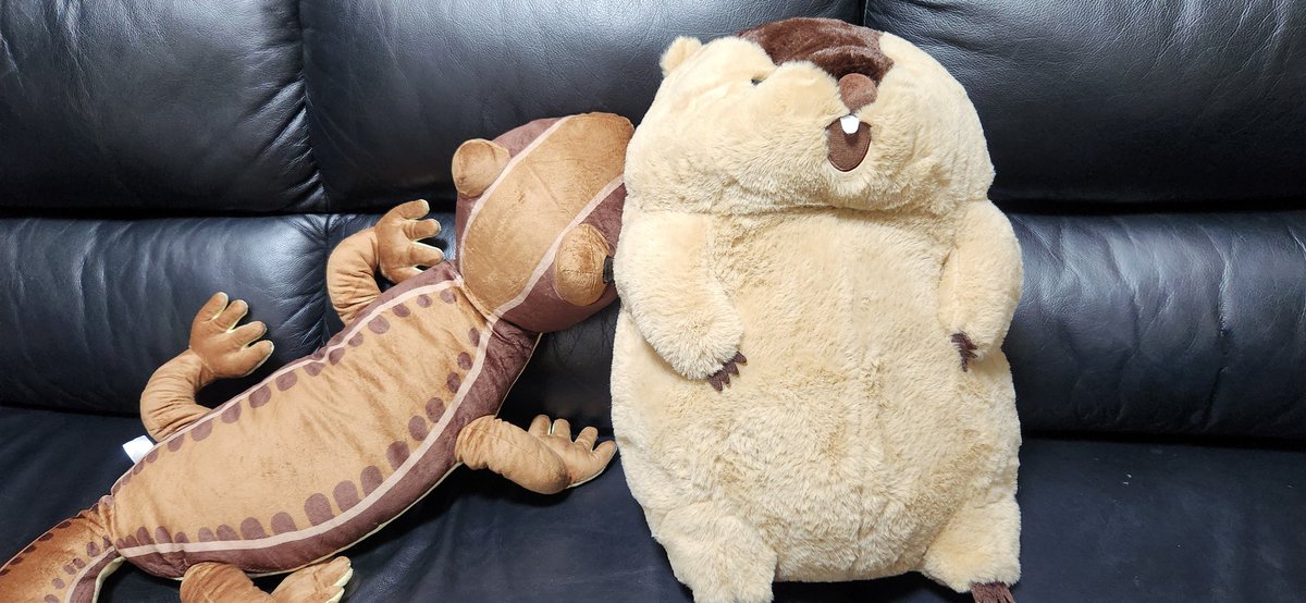 2つで1500円以内に収まったわ:-)
かわええ:-)