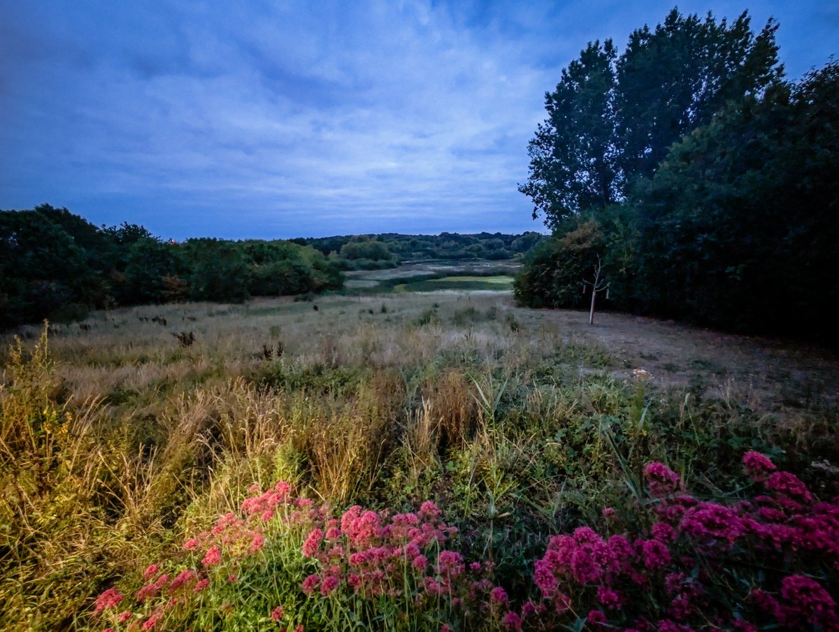 Discover the magic of autumn at RSPB Sandwell 🦇🍂 Encounter some amazing night-time wildlife, visit the Hide and enjoy snacks by the campfire on Saturday 20 September 2025 👉 events.rspb.org.uk/events/123662