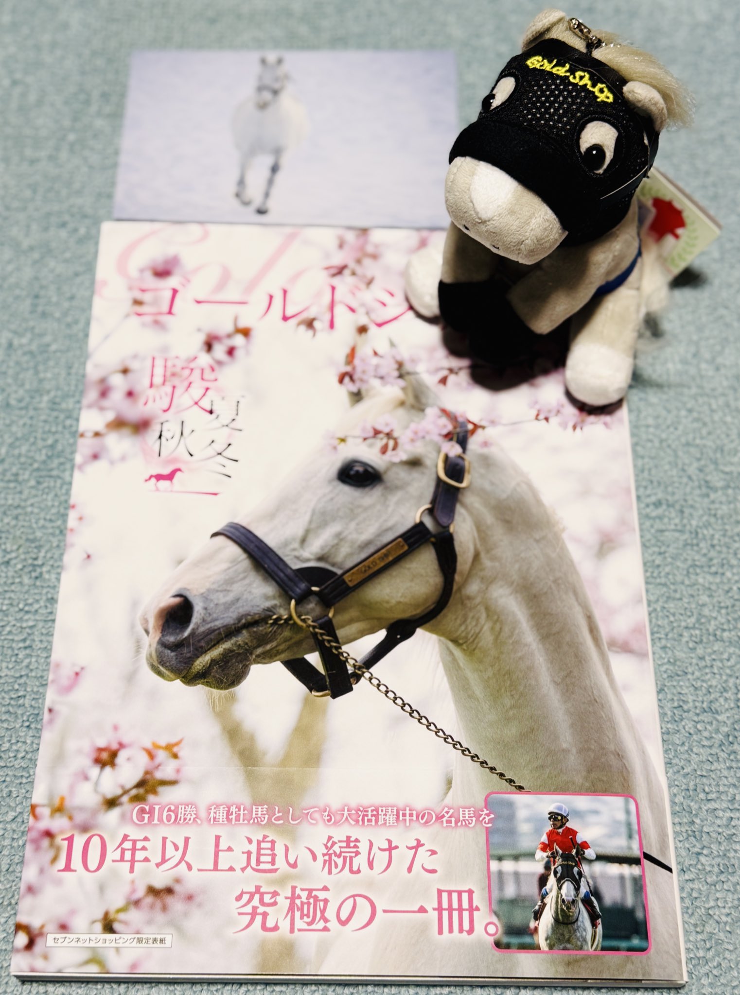 M*i様 ゴールドシップ 写真集&DVD 黄金の帆を掲げて ゴールドシップ