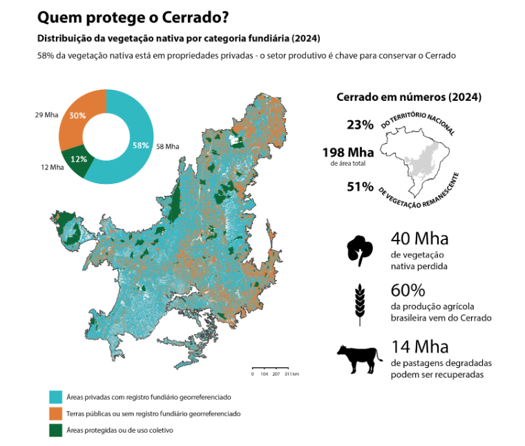 IPAM_Amazonia's tweet photo. O Cerrado é a principal fronteira agrícola ao considerar o #Matopiba - Maranhão, Tocantins, Piauí e Bahia.
Quase 72% do desmatamento no bioma, nas últimas quatro décadas, ocorreu em imóveis rurais para a expansão de pastagens e produção de commodities. https://t.co/z7HXwSch9O