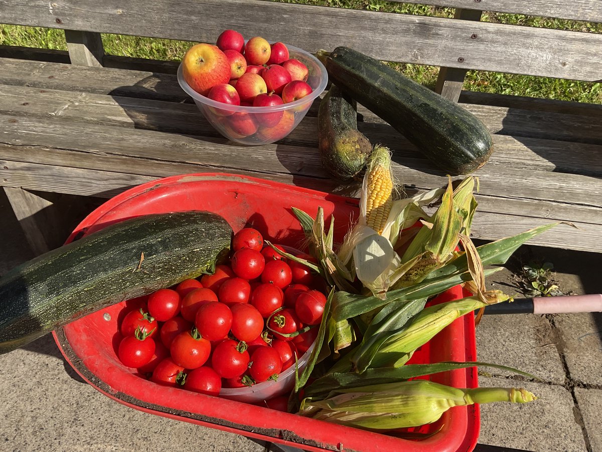 Pickering Community Infant & Nursery School tweet media