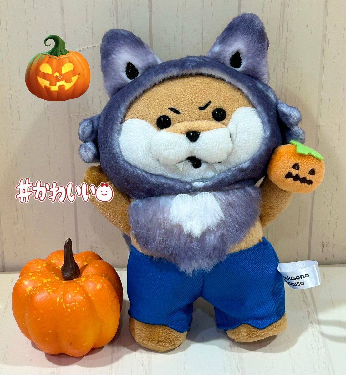 かわうそさん 楽天市場】【公式直営ショップ】【人気商品！】可愛い嘘の