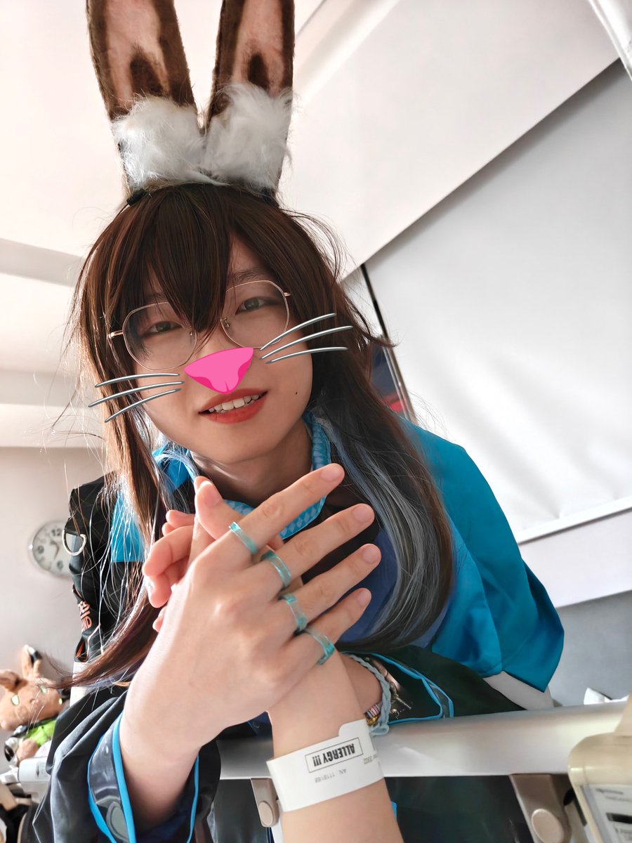 Maplef 猫扑枫 🐱 tweet media