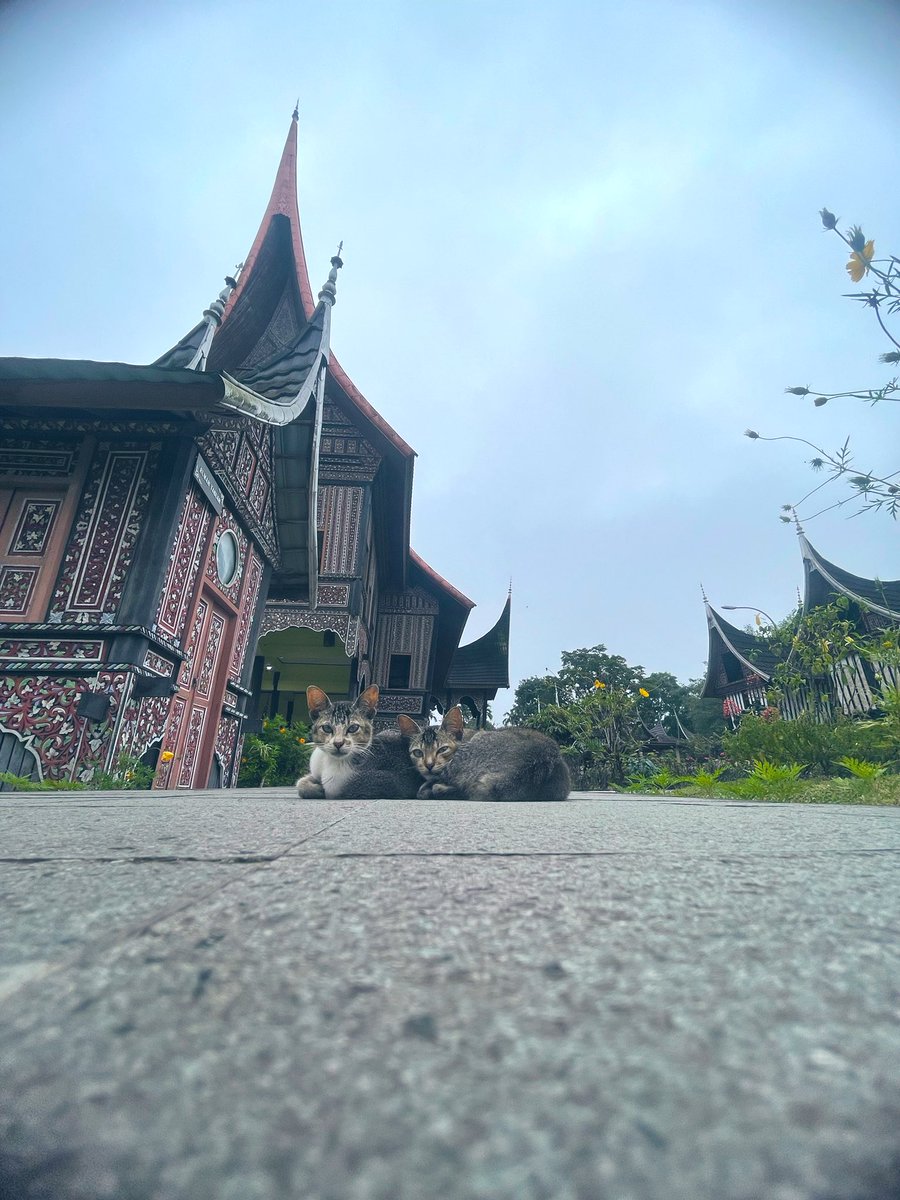 Did you know? I get lost my idealistic
Want to steps slowly and got to move fast forward. U need to lay-down and sleep first till you caught your dreams