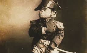 The Hartlepool Monkey had been rehung today! 😉
#Mandelson