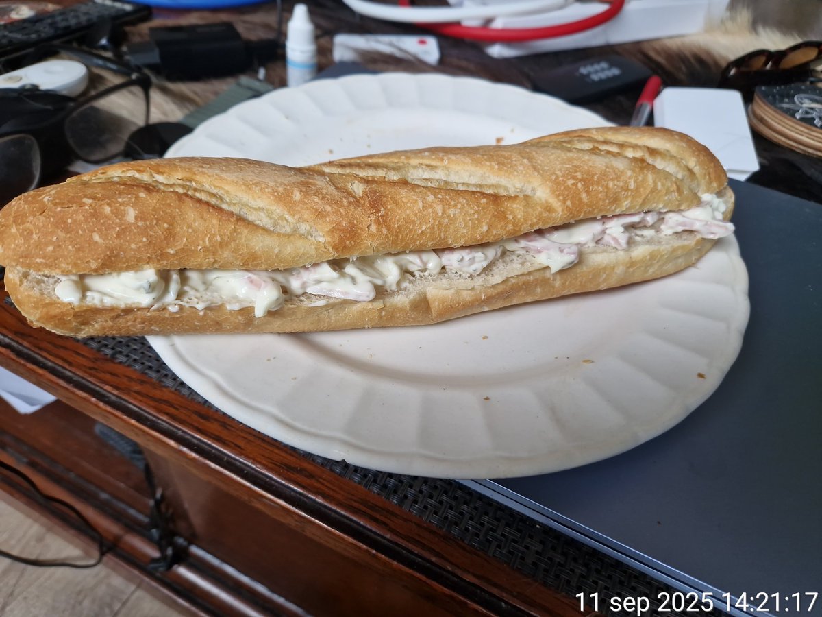 dutchdzone's tweet image. Ik eet heel bescheiden maar 1 broodje 😅😂